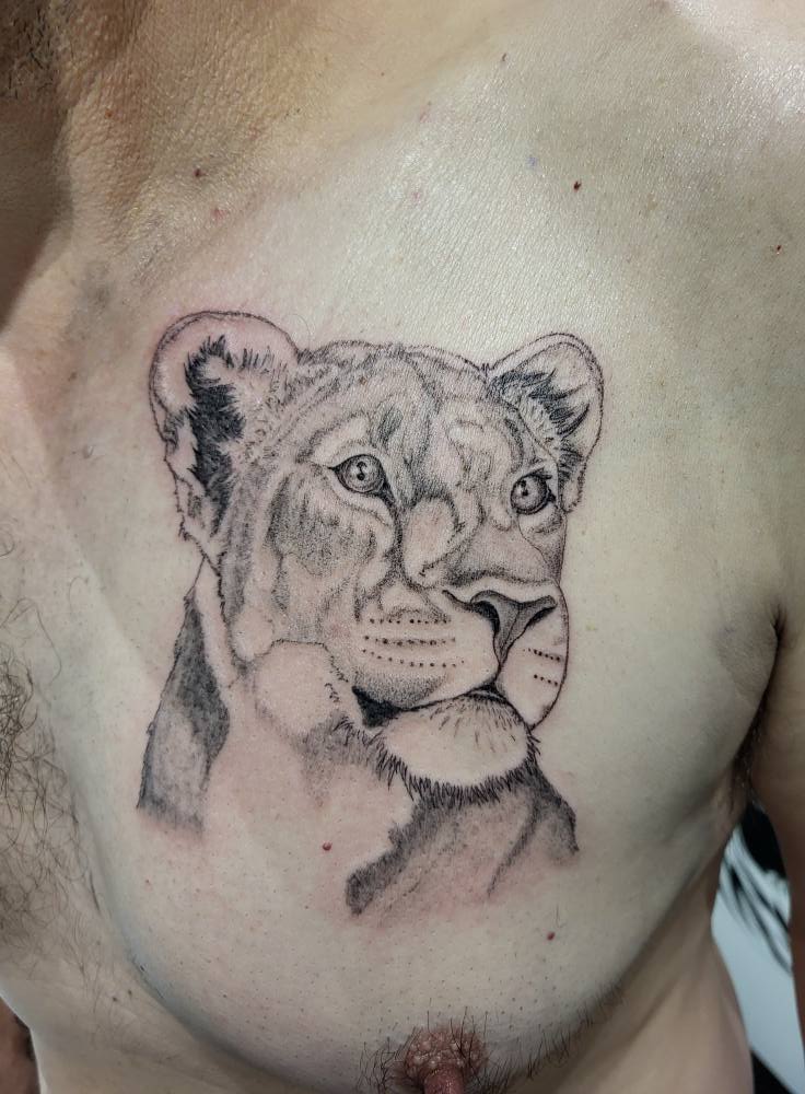 564605171_1117947850551112_679112411878543621_n